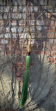 Mint - Driftwood  Cobwebber
