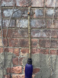 Small Natural Handle Besom